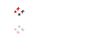 "Du Karaliai" Sports Poker Club logo